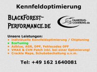Kennfeldoptimierung | Chiptuning | Tuning | Leistungssteigerung Baden-Württemberg - Mühlacker Vorschau
