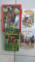 4 Kinderbücher "Pferdegeschichten" ,Gesamtpaket,sehr gut erhalten Baden-Württemberg - Heilbronn Vorschau