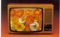 SUCHE alte Farbfernseher alte Fernseher 1970er Röhrenfernseher Bayern - Traunreut Vorschau