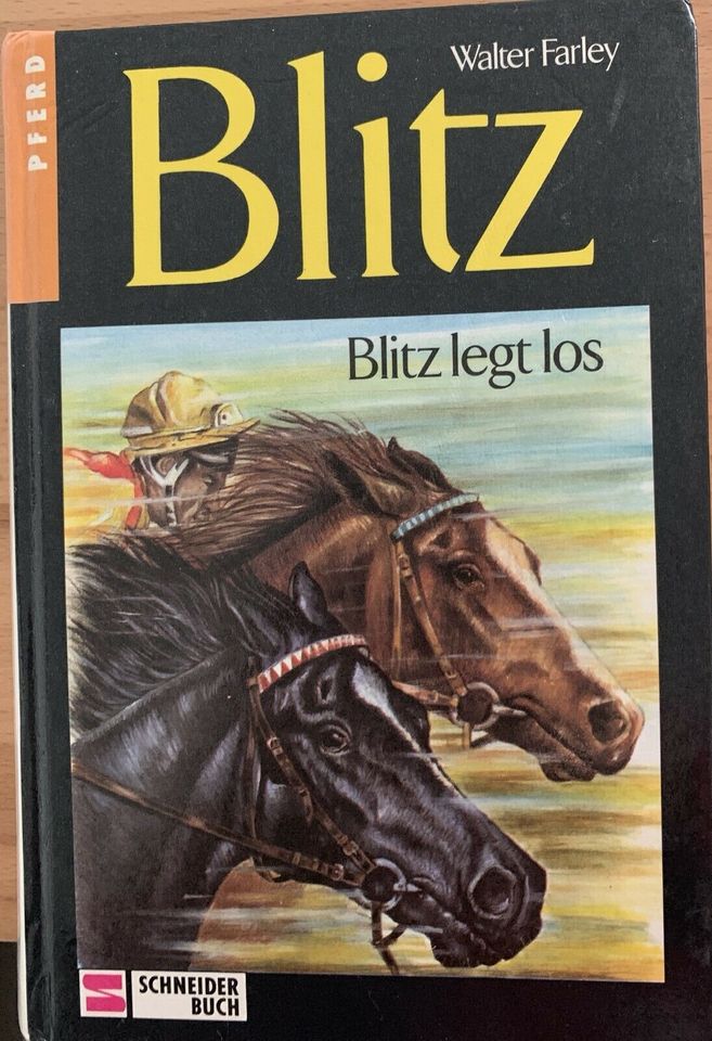 Walter Farley - Blitz legt los, Pferdebuch, Kinderbuch in Korb