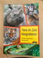 Sänger: Tiefe im Zoo fotografieren / Tieraufnahmen leicht gemacht Obergiesing-Fasangarten - Obergiesing Vorschau
