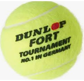 20 GEBRAUCHTE TENNISBÄLLE  Tournament Dunlop Fort 