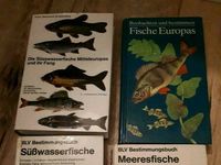 Freude am Angeln Z. Simek und andere Fischbücher Niedersachsen - Adelebsen Vorschau