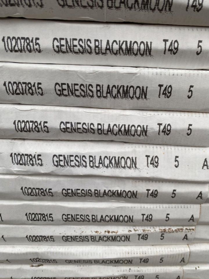 Bodenfliese Genesis Blackmoon 60x60cm in Hude (Oldenburg)