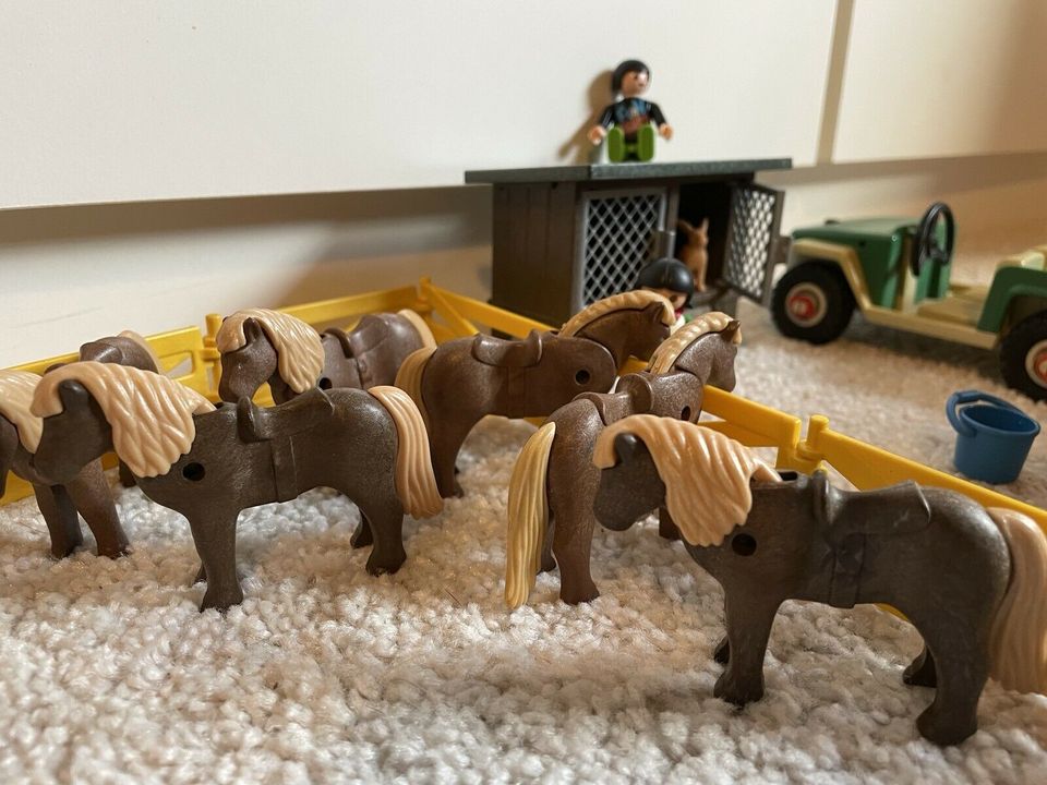 Playmobil Pony Ranch ❤️ Reiterhof Kinderfest Konvolut 100 Teile in Hamburg - Altona