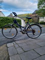 Trekking Bike Bellini Fahrrad Rheinland-Pfalz - Bad Bertrich Vorschau