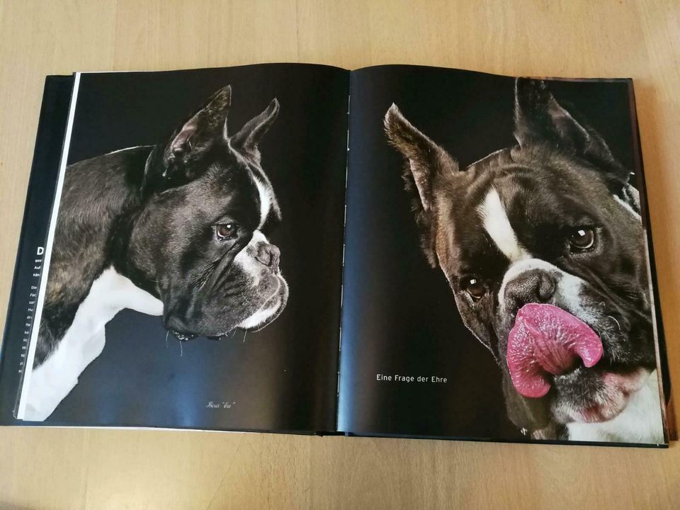 Fotografiebuch: Hunde Hunde Hunde in Nordrhein-Westfalen - Neuss