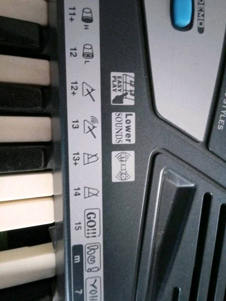 Keyboard mit Ständer in Bad Bentheim