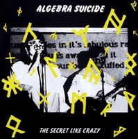 LP Vinyl Algebra Suicide US Wave Minimal Avantg. Industrial 80s Köln - Ehrenfeld Vorschau