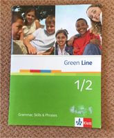 Green Line 1/2 Grammer, Skills & Phrases, ISBN 978-3-12-547341-6 Rheinland-Pfalz - Mainz Vorschau