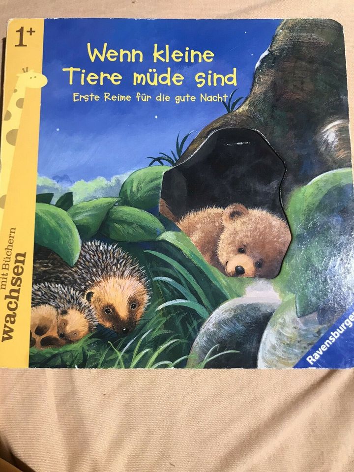 TAUSCHE Verschiedene Kinderbücher in Eppingen