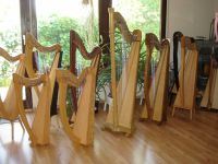 Online Workshop Harfe Lernen Anfänger 3 Termine insgesamt 42,- € Baden-Württemberg - Horgenzell Vorschau