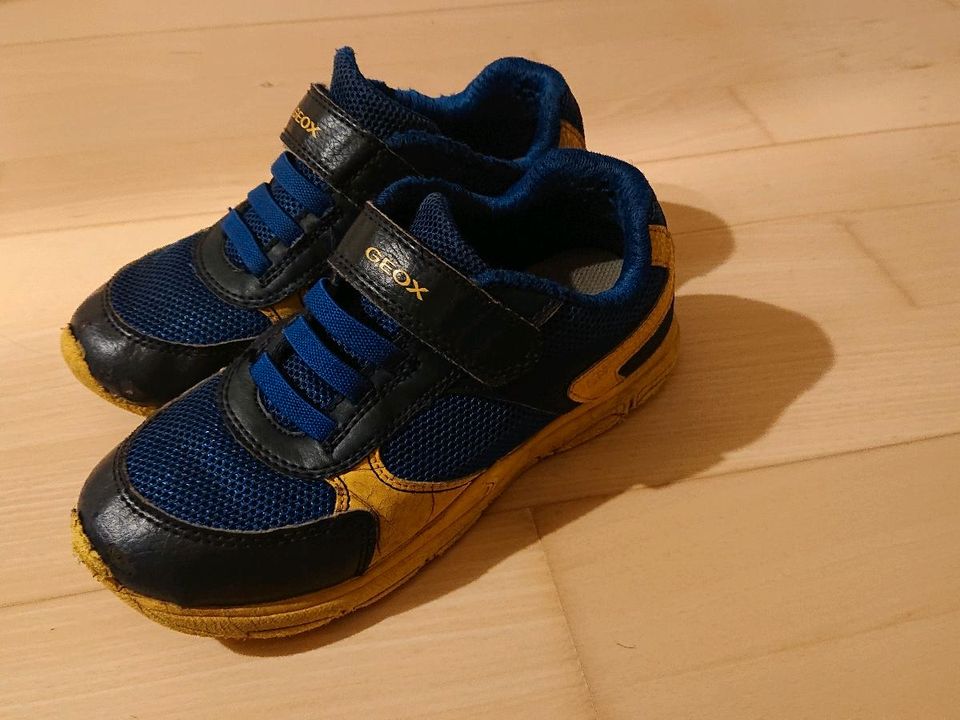 Geox Schuhe in blau Kinder Jungs Schuhe Sportschuhe Geox Sportschuhe 