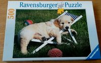 Ravensburger Puzzle 500 Teile / Golden Retriever Bayern - Langenpreising Vorschau