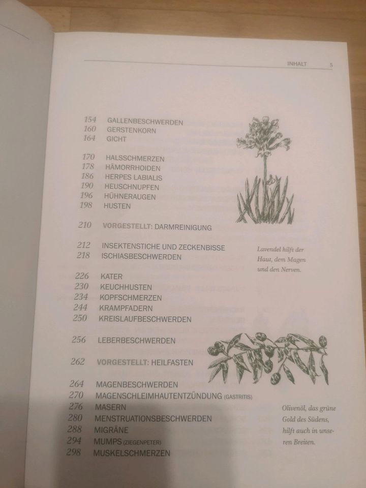 Omas großes Buch der Hausmittel Gesundheitsbuch Weltbild Wormer in Sachsen - Crimmitschau