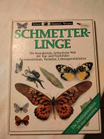 Schmetterlingsbuch, Gerstenberg Verlag, neu Brandenburg - Rietz-Neuendorf Vorschau