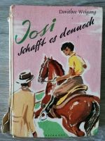 Hirundo Buch Josi schafft es dennoch D. Weigang M 10 Nordfriesland - Niebüll Vorschau