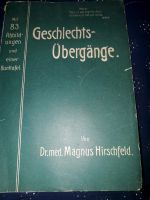 Buch Geschlechtsübergänge, 1913, Dr. Hirschfeld 6 Hessen - Greifenstein Vorschau