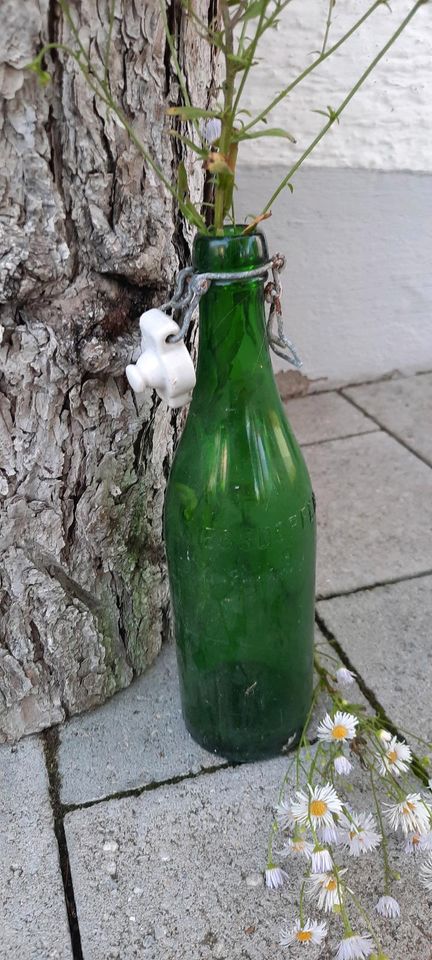 Flaschen mit Bügelverschluss, Deko, Sammler in Stammham b. Ingolstadt