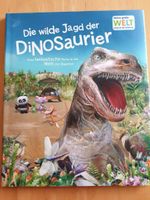 Buch: Die wilde Jagd der Dinosaurier, Vorschule Bayern - Aßling Vorschau