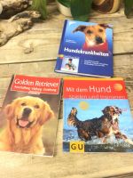 Hundebücher hundekrankheiten spielen Trainieren golden Retriever Schleswig-Holstein - Lübeck Vorschau