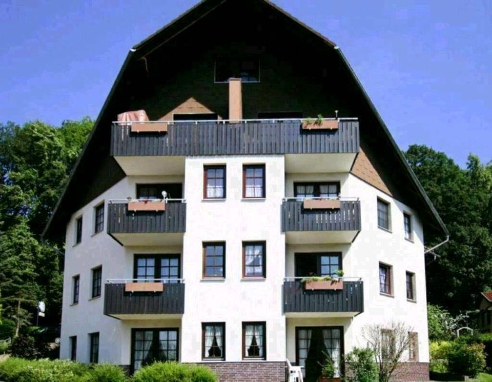 2 Etagen Penthouse moderne FeWo Ferienwohnung Harz Bad Sachsa, in Bad Sachsa