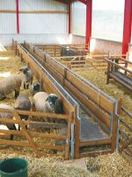 Köhler-Raufen für Schafe aus Holz Heuraufe Lämmer Ziege Suffolk Niedersachsen - Cloppenburg Vorschau