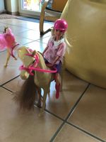 Barbiepuppe Steffie mit 2 Pferden Nordrhein-Westfalen - Borken Vorschau