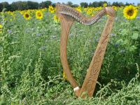 Irische Harfe 29 Saiten + Tasche + Harfenunterricht Musikschule Baden-Württemberg - Horgenzell Vorschau