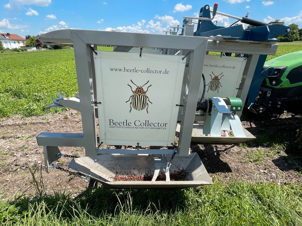 Beetle Collector, Kartoffelkäfer, sammeln, Bio in Halsbach