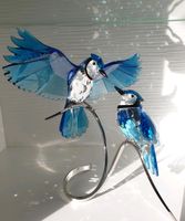 Swarovski Figur Blauhäher Vogel Kristallfigur Dekofigur Sammler Nordrhein-Westfalen - Hückelhoven Vorschau