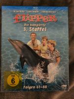 Flipper Staffel 3 Blu ray Hessen - Königstein im Taunus Vorschau