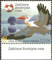 Montenegro 136 ** Geschützte Tierarten – Vögel – Rosapelikan Nordrhein-Westfalen - Kamen Vorschau