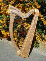 Gute Anfängerharfe Harfe 27 Saiten technisch überarbeitet+eingest Baden-Württemberg - Horgenzell Vorschau