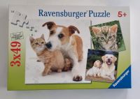 Ravensburger Puzzle 3x49 Teile "Grosse Tierfreundschaft" Niedersachsen - Wallenhorst Vorschau