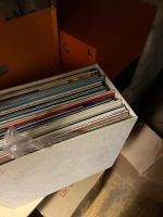 mehr als 100 Vinyl und Vinyl-Player Berlin - Dahlem Vorschau