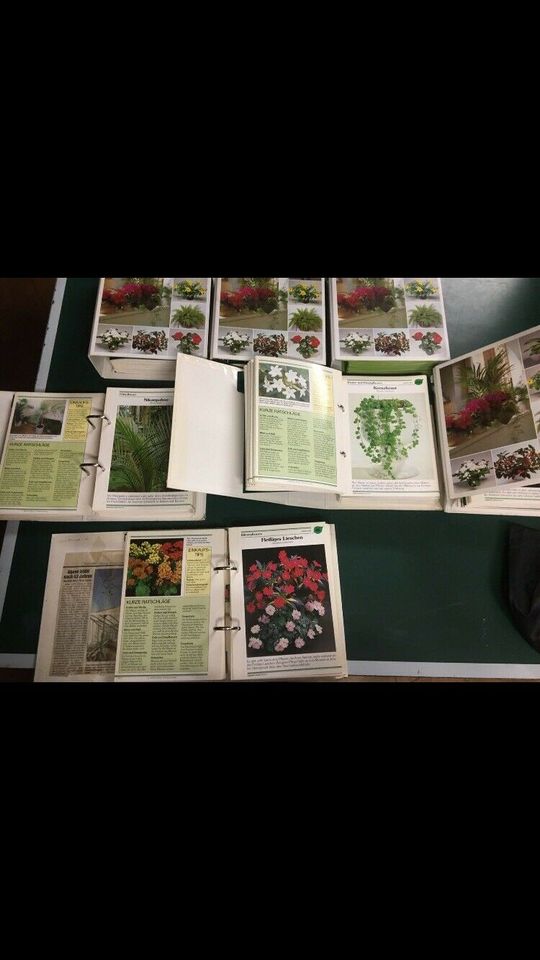 Buch Bücher Pflanzen Pflanzenbuch in Greiz