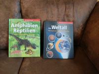Erlebniswelt Wissen Amphibien und Reptilien + das Wetall Berlin - Wilmersdorf Vorschau