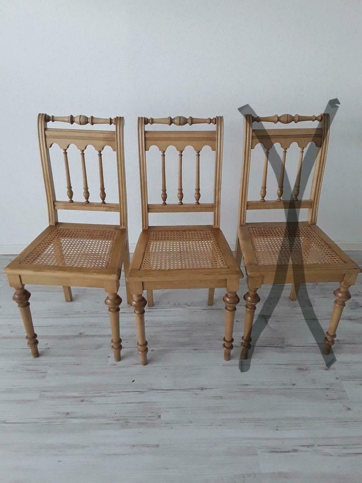 Antike Stühle in Wolfenbüttel
