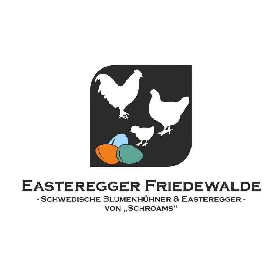 Verschiedene Bruteier zu verkaufen ! Hühner Geflügel BE in Petershagen