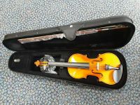 STAGG VN-4/4 ELEC, 4/4 elektro-akustische Violingarnitur Bayern - Hofheim Unterfr. Vorschau