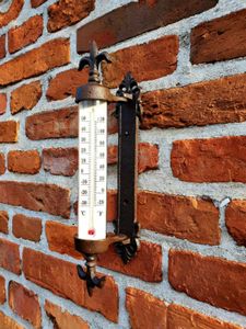 #10992 Garten Thermometer Gusseisen Vogel Robust Metall Geschenkbox 
