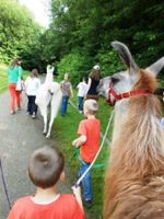 Ferien für Kinder mit Tieren: Lamas im Ruhrgebiet Nordrhein-Westfalen - Gelsenkirchen Vorschau