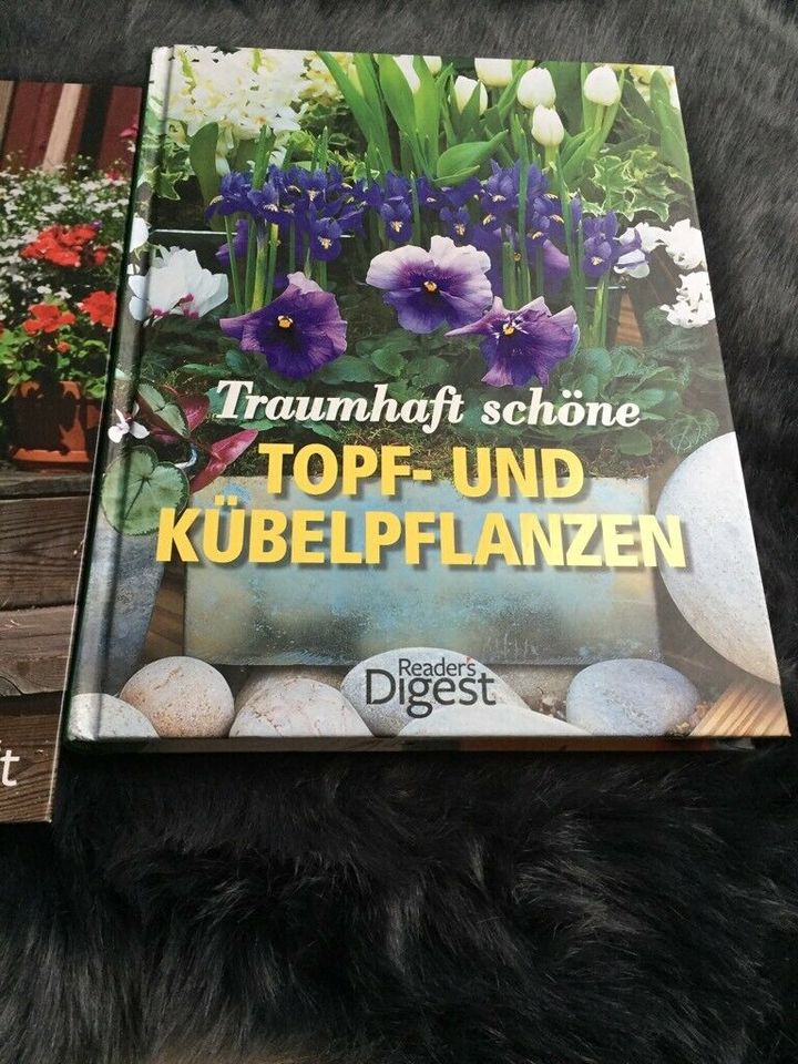 2xBuch, Mein Landglück daheim/Traumhaft schöne Topf-Kübelpflanzen in Lautertal