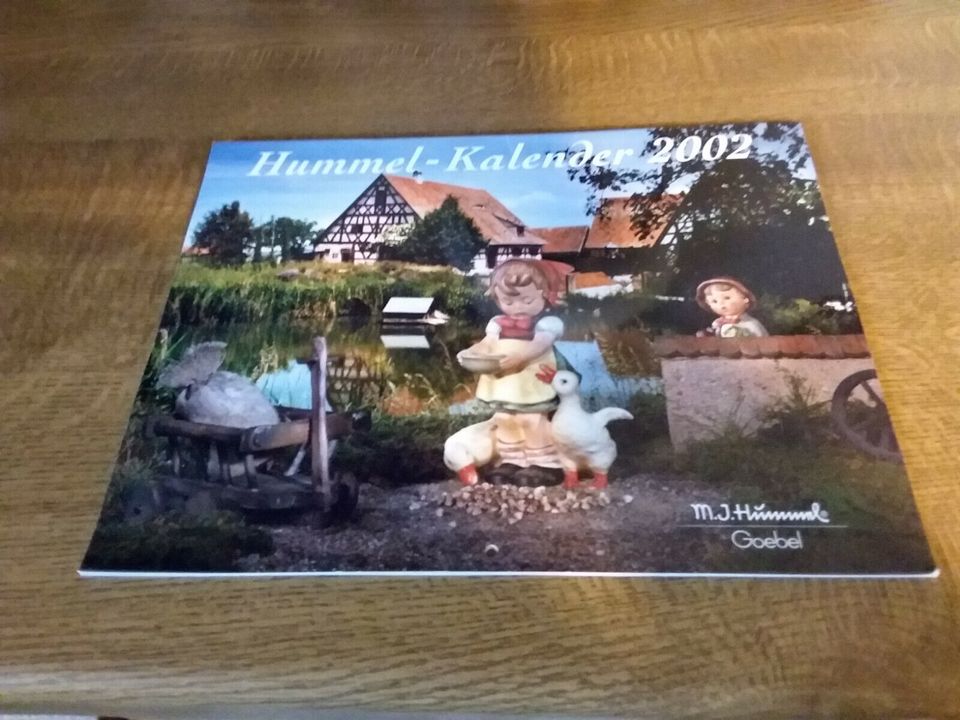 Hummel Insights Zeitschriften, Kataloge + mehr, Neu bis neuwertig in Gelsenkirchen