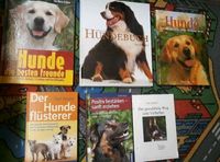 Hunde-Erziehung gewaltfrei Pflege Haltung 6 tolle Bücher tw neu Nordrhein-Westfalen - Salzkotten Vorschau