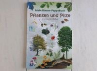 Mein Riesen-Pappebuch: Pflanzen und Pilze in unserer Natur Köln - Rath-Heumar Vorschau