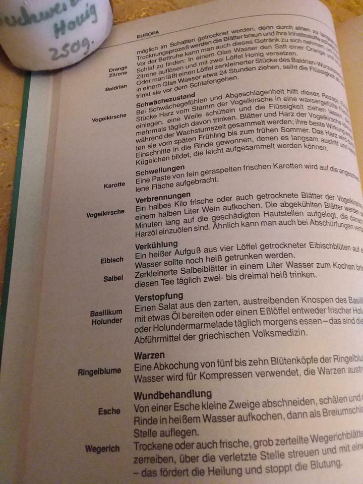 Handbuch Volksmedizin ( International & Kulturübergreifend ) NEU! in Berlin