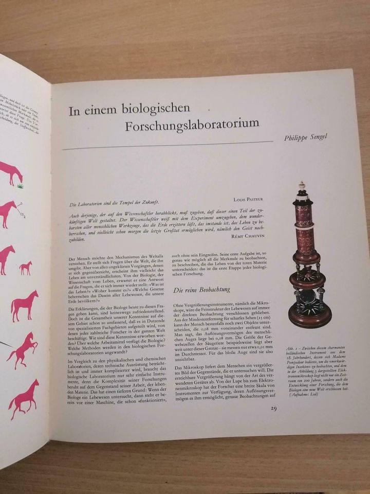 Enzyklopädie der biologischen Wissenschaften das Lebewesen 1961 in Sachsen - Chemnitz