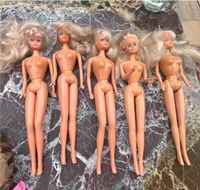 Barbie Puppen Sammlung Hessen - Groß-Umstadt Vorschau